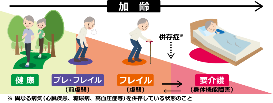 フレイルの説明